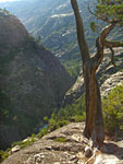 At the highest point of the bypass trail, you can climb to the domed summit to get this glimpse into Muir Gorge