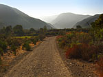 Matilija Creek over night