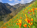 Santa Paula Peak