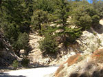 trailhead