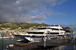 The catamaran ferry can hold hundreds of people