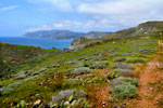 From the top of the mountain, the far end of Catalina appears - rugged, remote and uninhabited