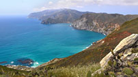 Trans Catalina Trail