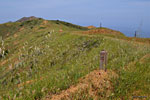 Wooden trail posts mark your progress. I decide to leave the TCT - which descends to Starlight Beach in the east. I want to stay in the high country, climb Silver Peak and see the NW end of the island.