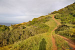 The road between Starlight Beach and Parson's Landing goes up and down and is tiringly steep