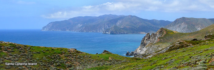 Catalina Island from the Trans Catalina Trail